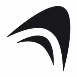 Anything logo
