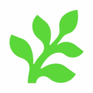 Dương xỉ