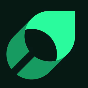 Mintlify