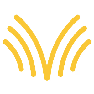 Voibe