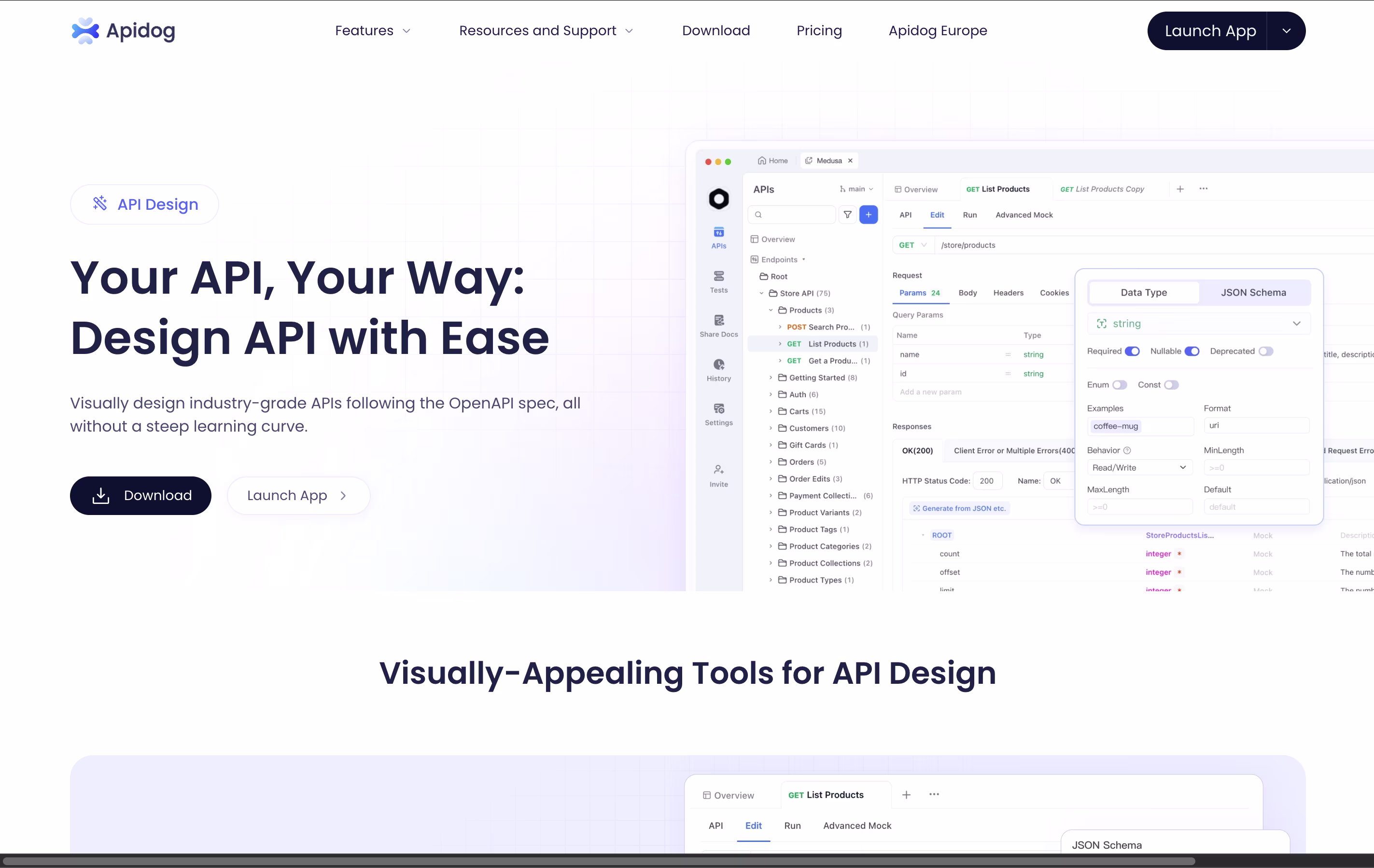 Apidog screenshot 4