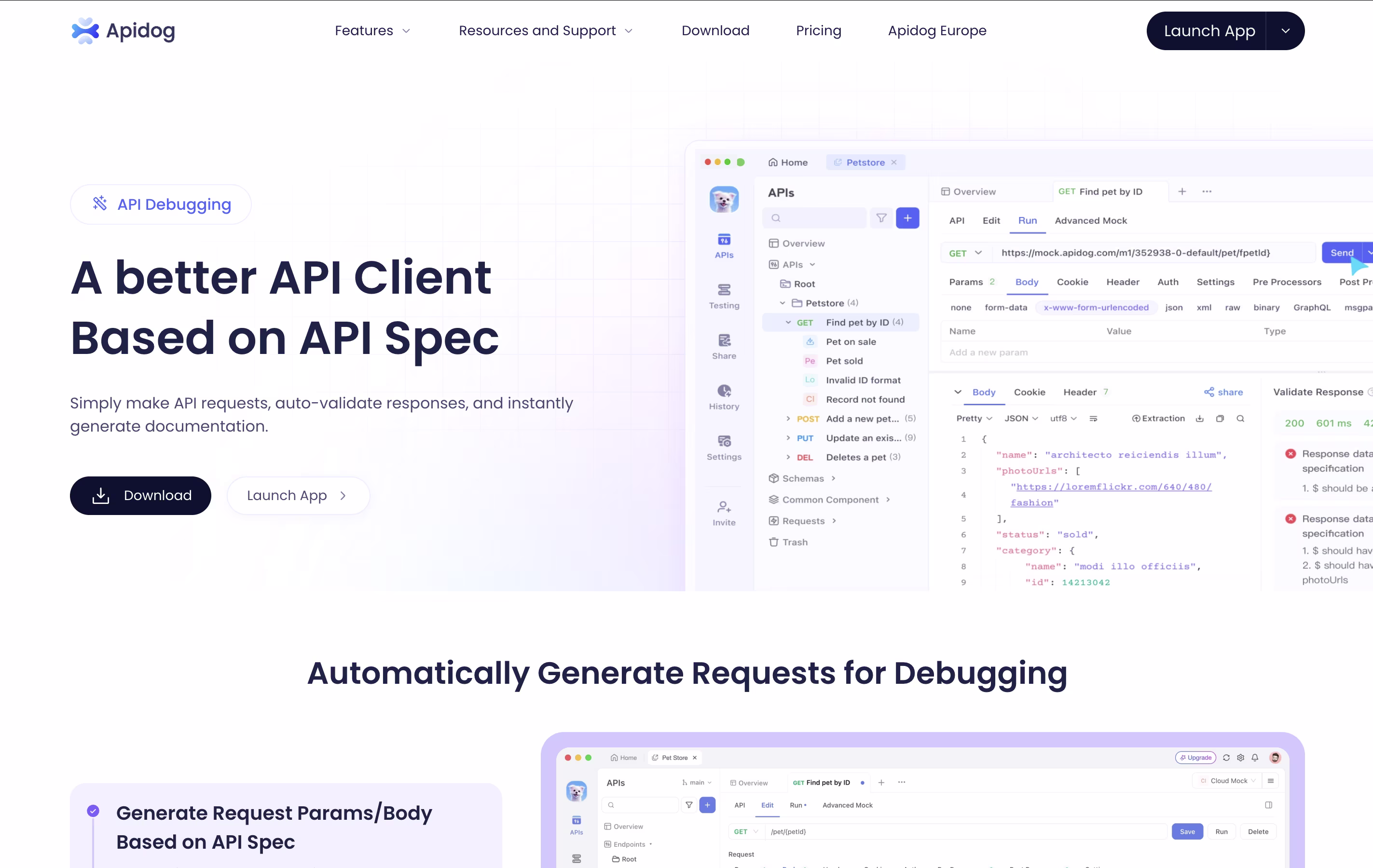 Apidog screenshot 5