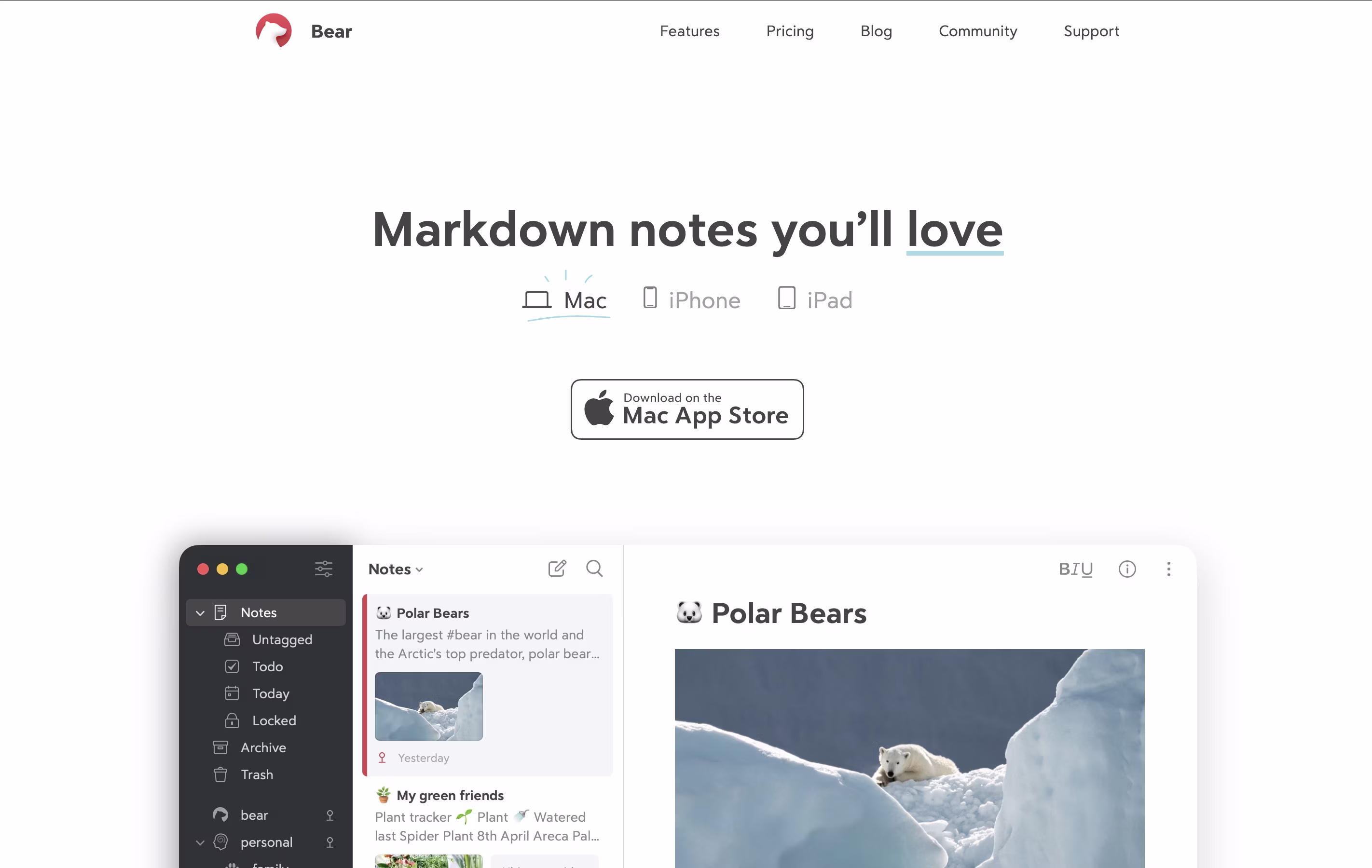Bear screenshot Bear screenshot