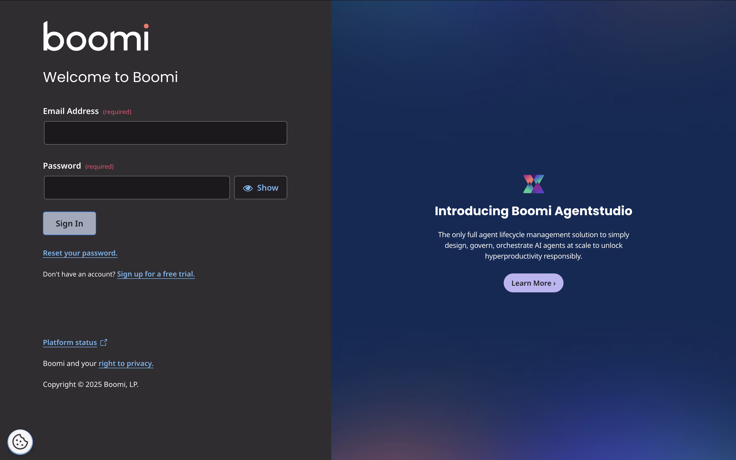 Boomi screenshot 6