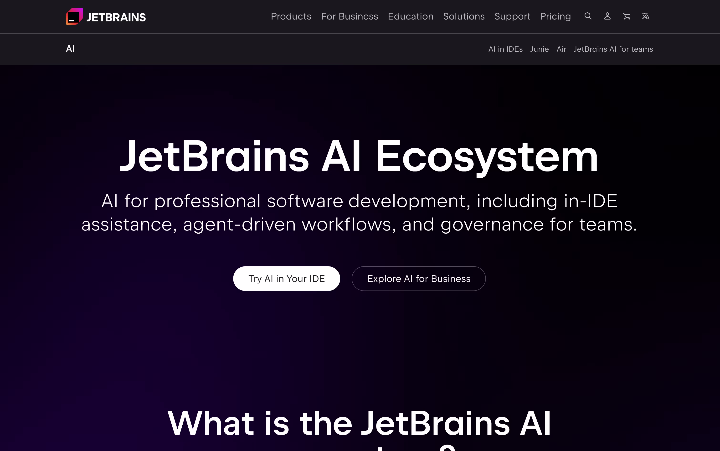 JetBrains AI screenshot