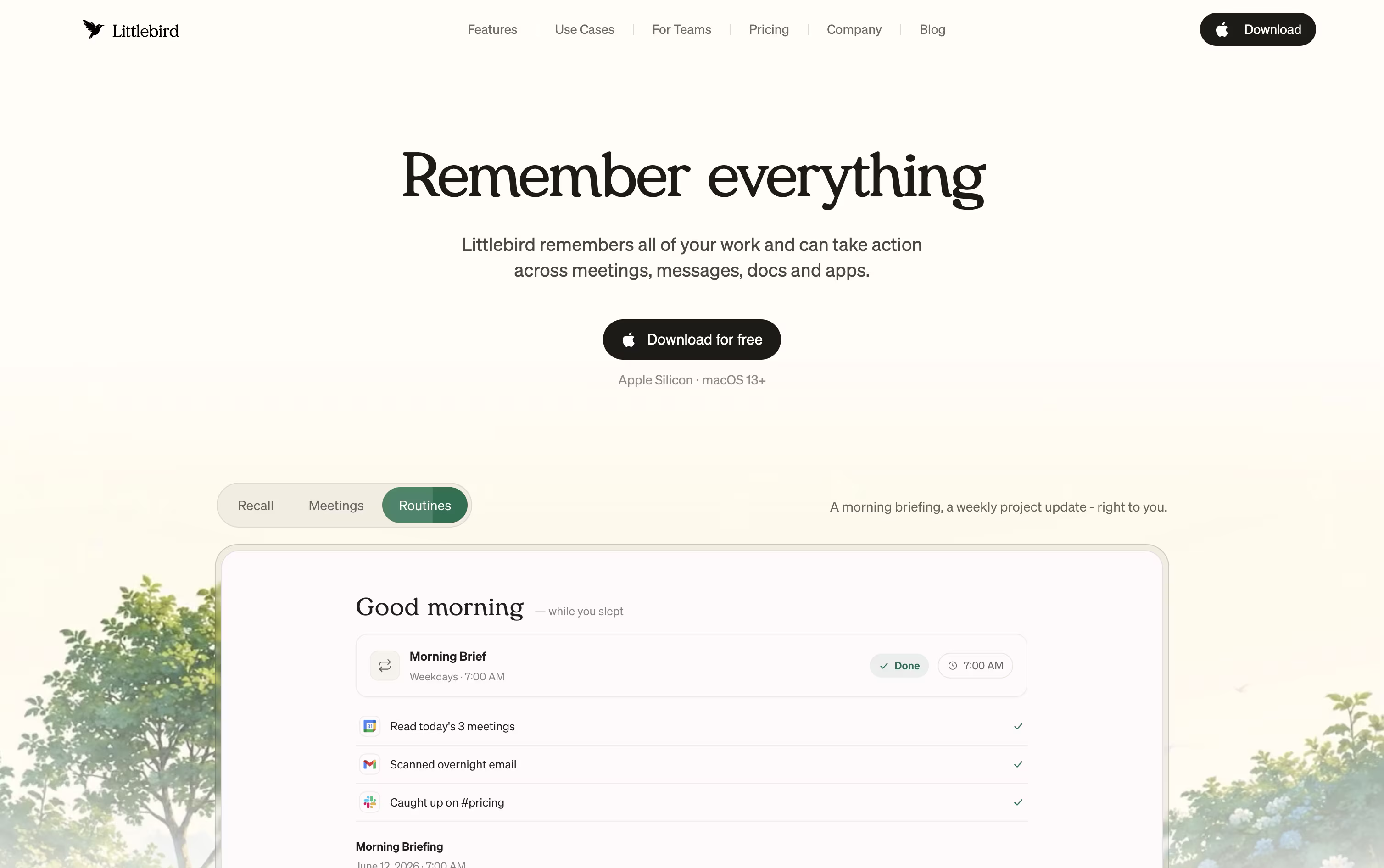 Littlebird screenshot