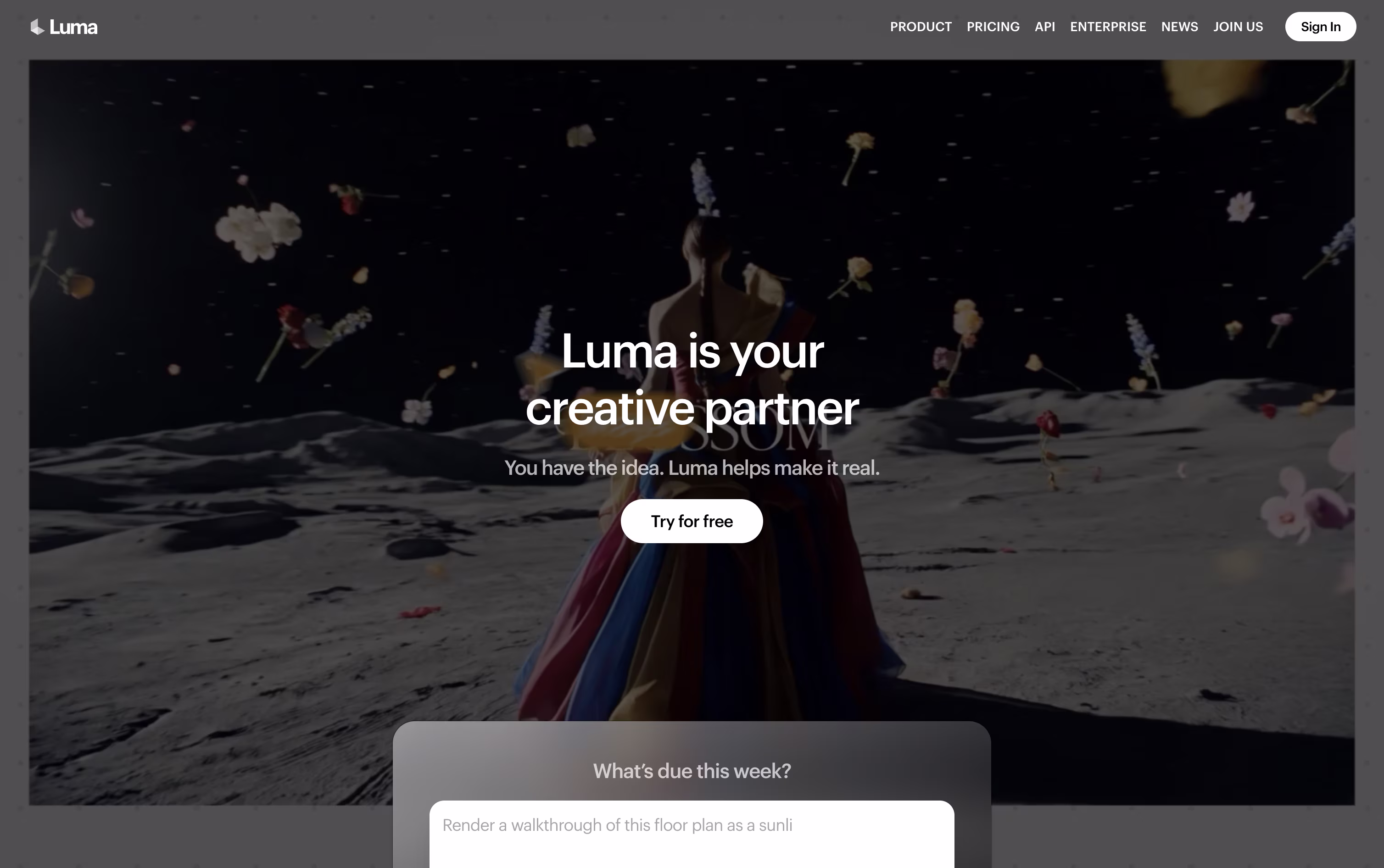 Luma AI screenshot