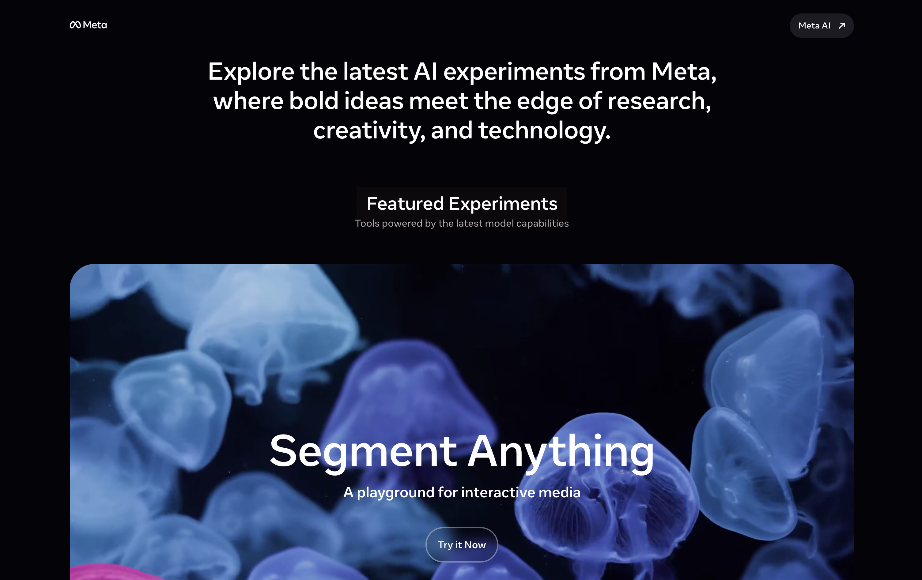 Meta AI screenshot 2