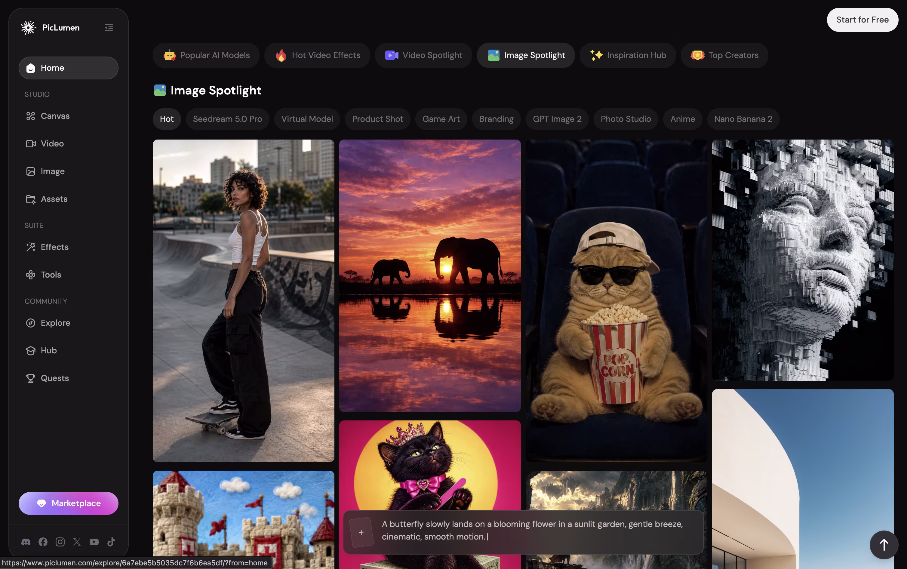 PicLumen screenshot 3