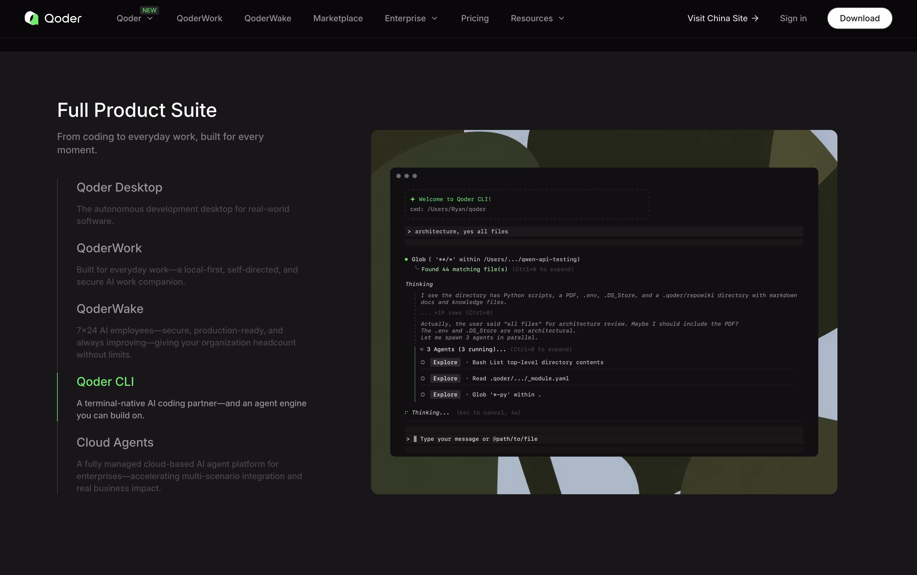 Qoder screenshot 4