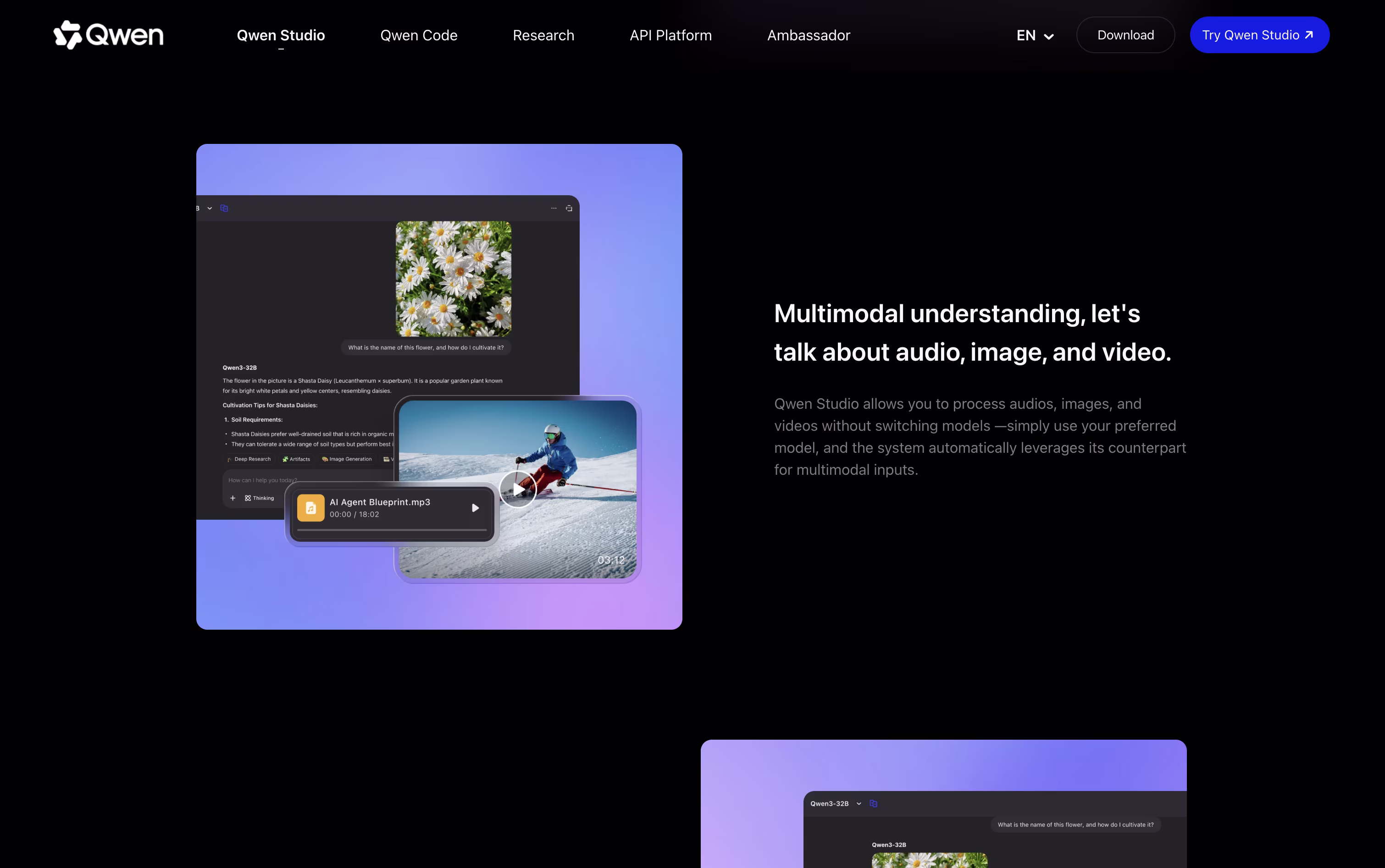 Qwen screenshot 4