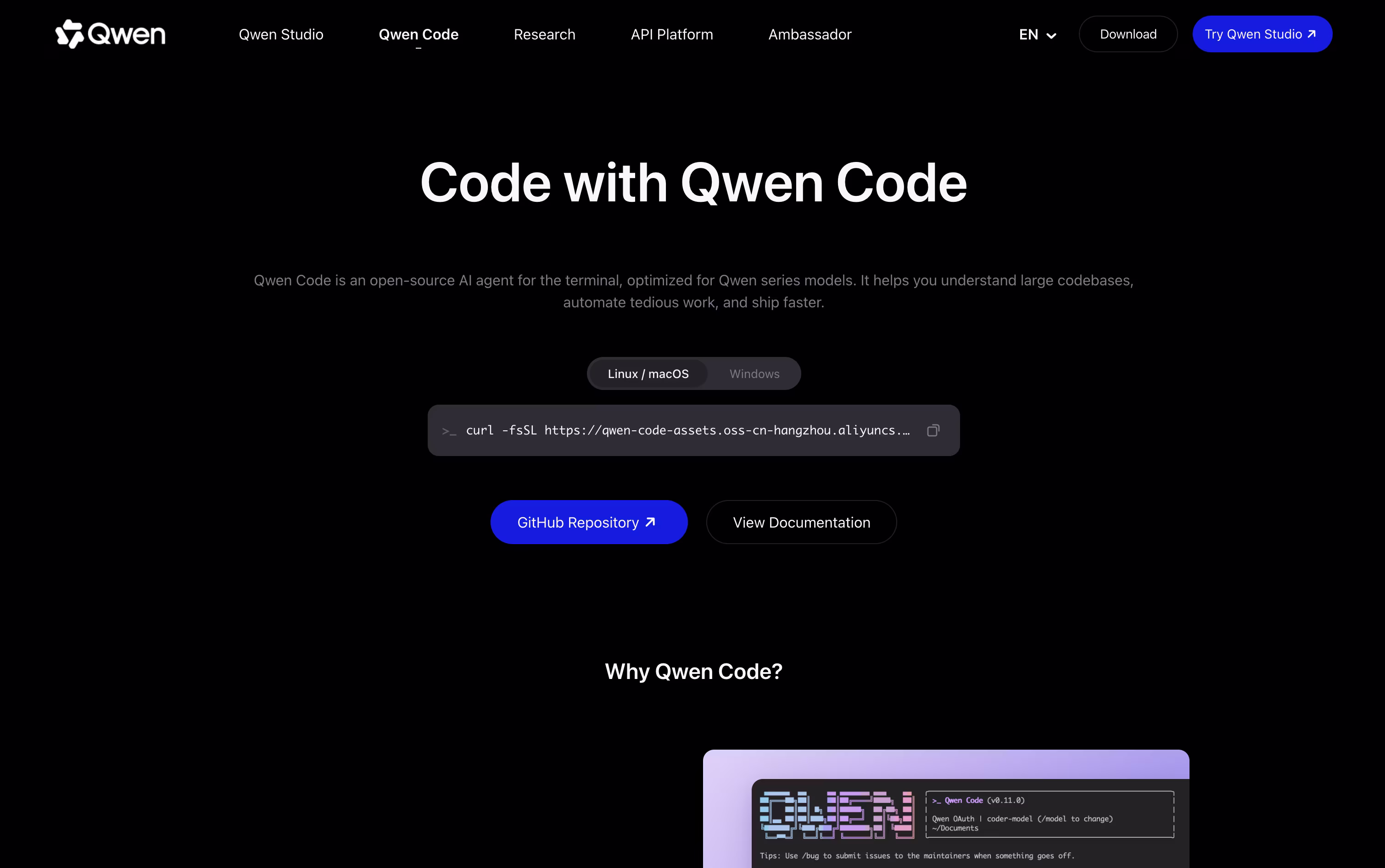 Qwen Code screenshot