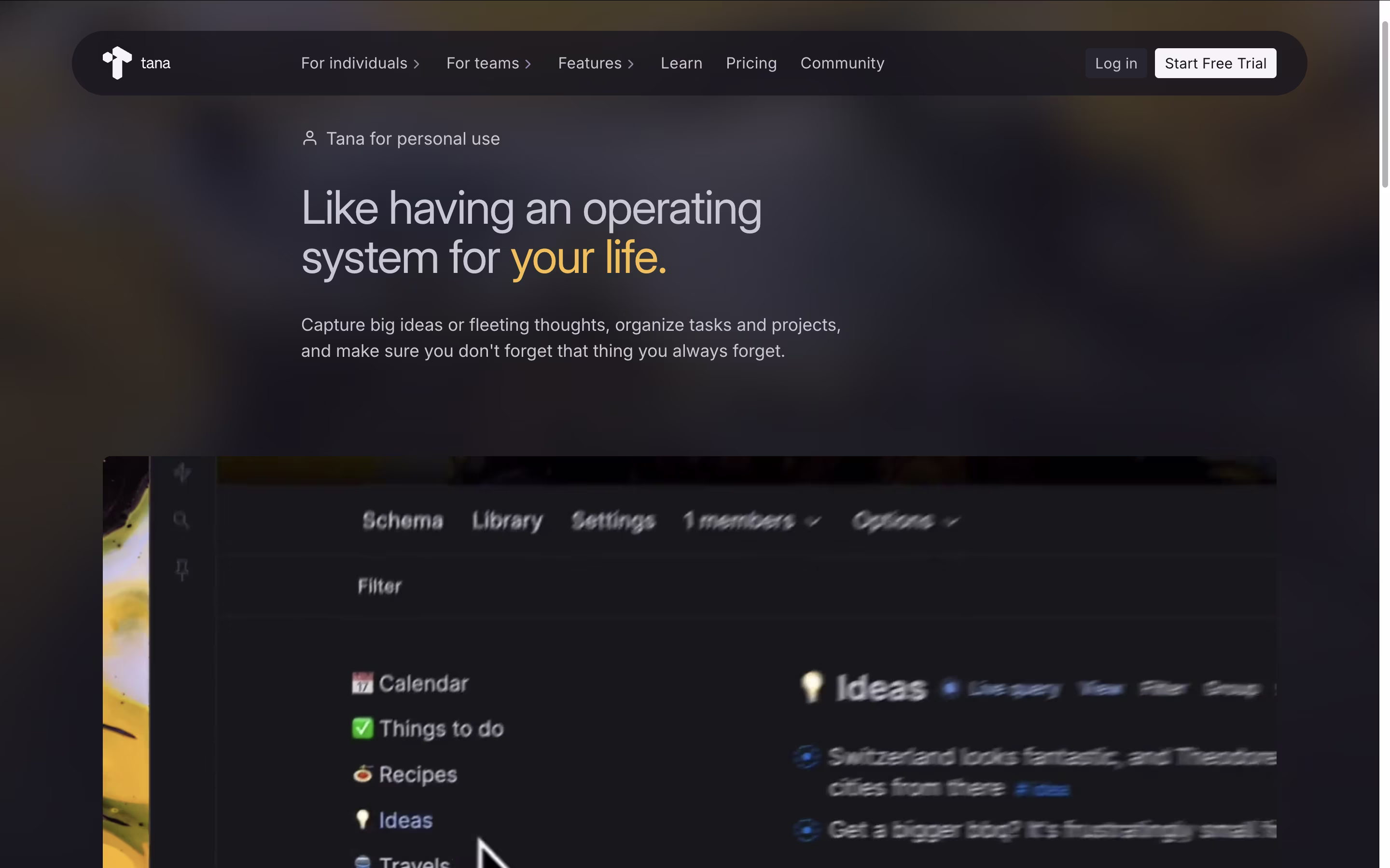 Tana screenshot 2