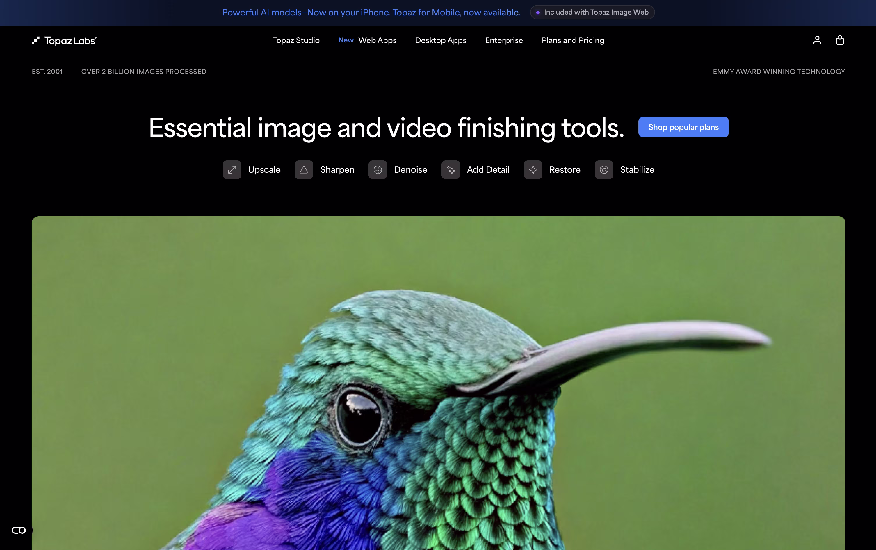 Topaz Labs screenshot