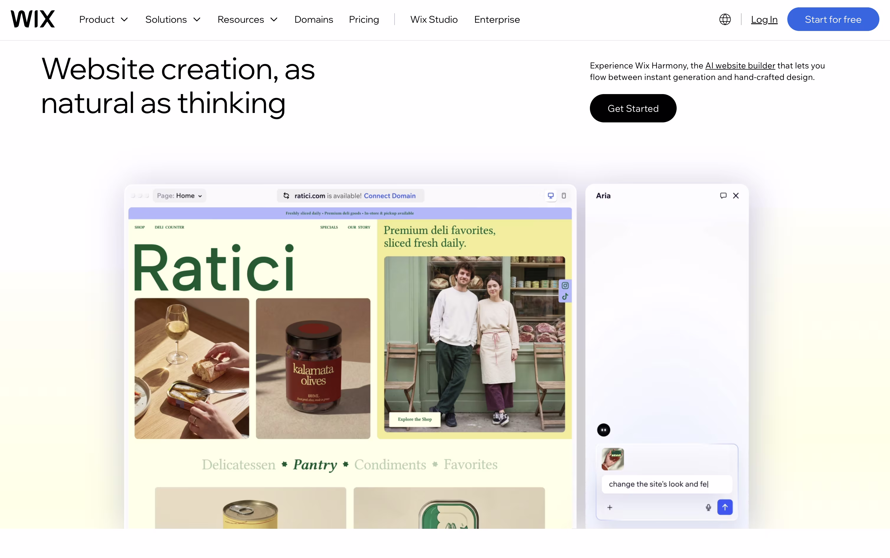 Wix screenshot 2